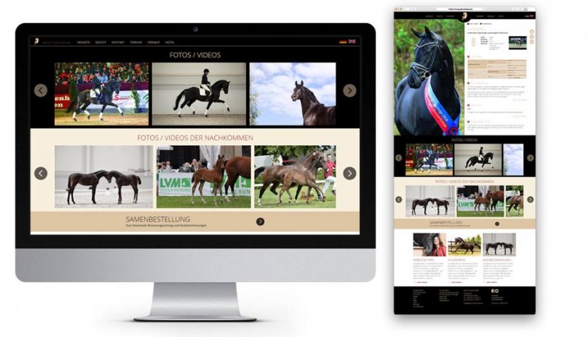 Foto- und Videogalerien zu jedem Hengst