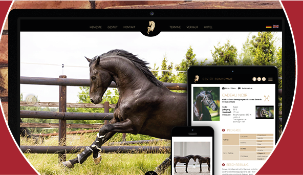 Referenzen: Bonhomme